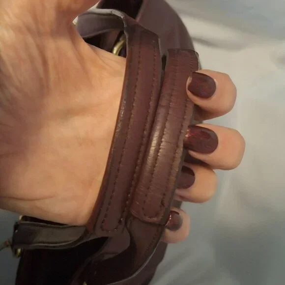 Coach Campbell Camera Bag and Tote Oxblood/Burgundy - EXC!!